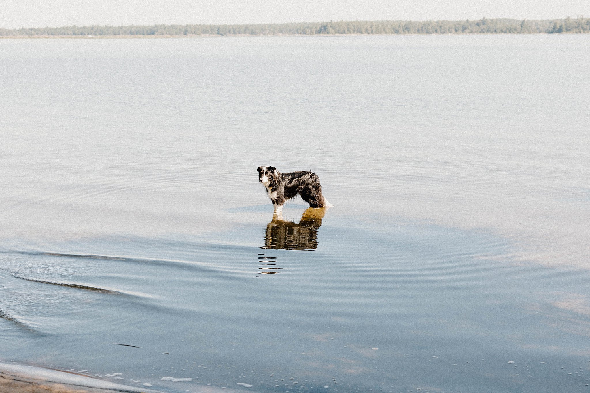 Summer-Horton-Family-Session.jpg