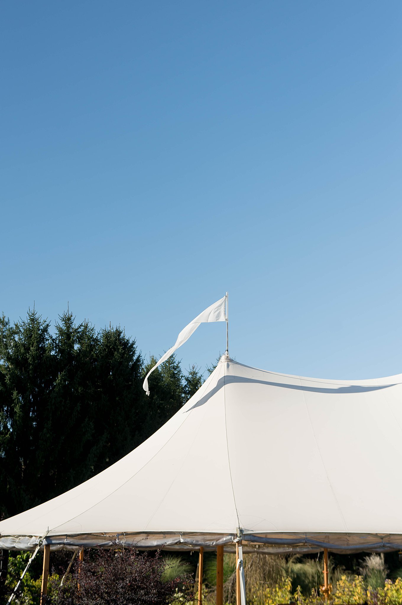 Ottawa Wedding Photographer - Evermore Wedding & Events.jpg