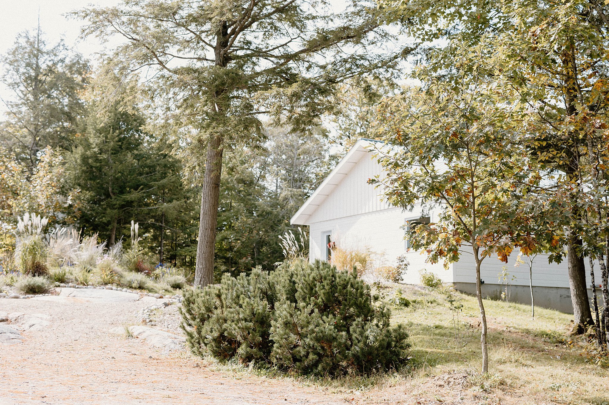 Ottawa Wedding Photographer - Le Belvedere Wedding.jpg