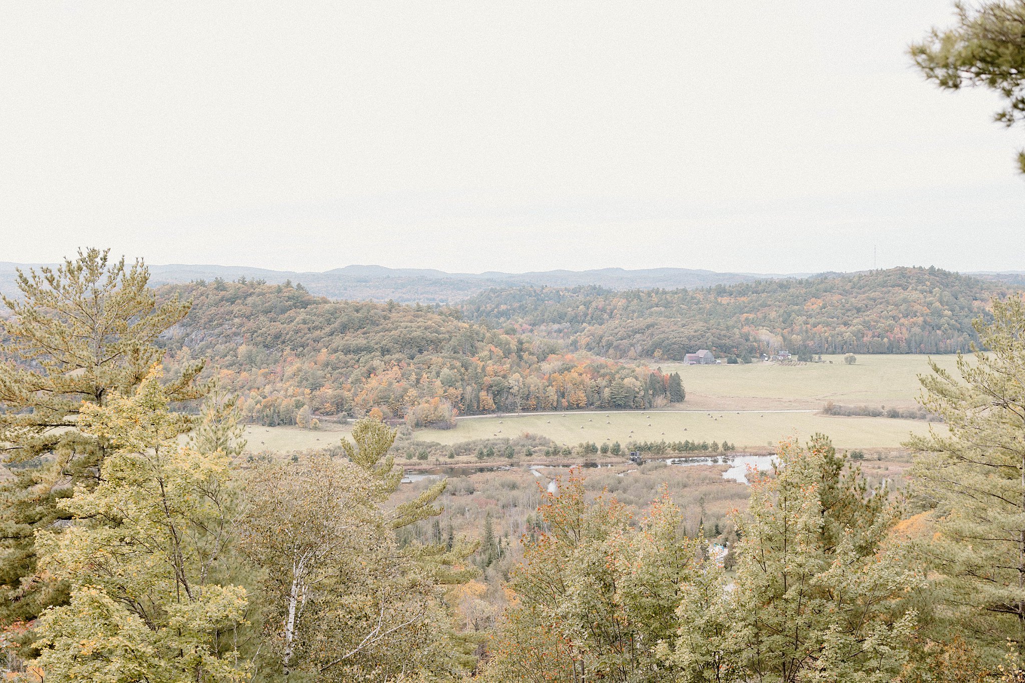 Ottawa Wedding Photographer - Le Belvedere Wedding.jpg