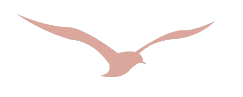 Silhouette of a bird in flight, stylized and simple