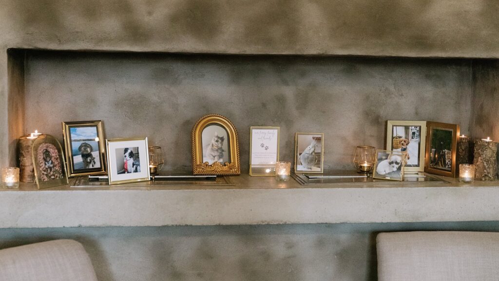 Thursday Wedding at Le Belvédère in Wakefield